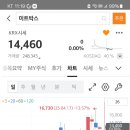 대진미트