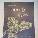 무안노들강 이미지