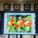 삼육사로19 | 하와이 여행 준비물 이렇게 챙기면 끝! 포천 선단동 주간보호센터 힐링 체험 후기