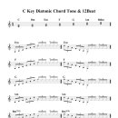 C Key Diatonic Chord Tone &amp; 12 Beat 이미지