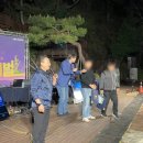 블루밍청춘