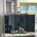 카스리프팜(CASReeffarm) 이미지