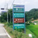단월교차로 앞