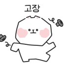 국민낙곱새포항 네이버블로그