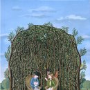 헤몽페네 이미지