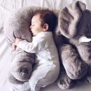 코끼리세탁 이미지