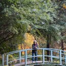 노을정원 | 남해 섬이정원 솔직후기 (노을 + 정원 조합 미쳤다)