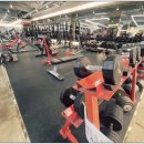 백퍼센트 이미지