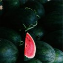 'Viva la Vida', 죽음의 문턱에서 외치는 인생이여 만세