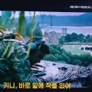 3987/ What's your take on this? 이미지