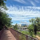 한천로115길 이미지