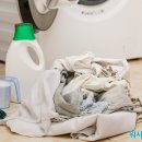 왕성세탁 이미지