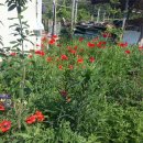 백선농장 이미지