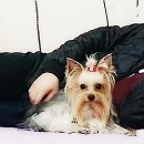 도담이 이미지