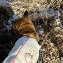 청소년수련관 야외화장실 이미지