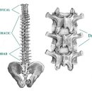 마이다스 스튜디오 이미지