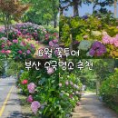 공임일번가 삼락점 창대카서비스 | 6월 부산 수국 명소 추천 포토존 및 주차안내