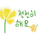정글마켓