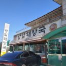 다 마시따 이미지