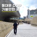 주식회사 열린문디자인 | 서울 동대문 가볼만한 곳 DDP, 볼거리 많았던 디자인플라자 전시 뮤지엄 후기