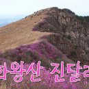 배바우마트 이미지