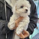 장수서창동-3 이미지