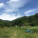 봉화남성 이미지