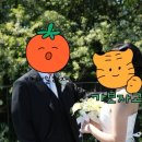 오늘여기우리 - 세종특별자치시 새롬중앙로 59 | 청주 웨딩촬영 오늘여기우리 후기