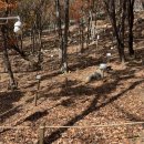 노화농장 이미지