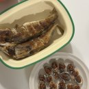 벌교꼬막 직거래 유통 | 벌교꼬막 새꼬막 벌교가볼만한곳 참꼬막 맛집은 역시 역전꼬막