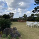 천상의 노을 이미지