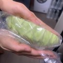 초이스케치