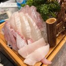 한마리 횟집 이미지