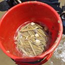 가족펜션 이미지