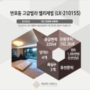 210155 이미지