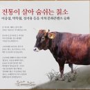 우리전통한우