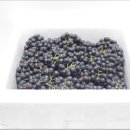 다드림푸드 이미지