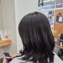 일산로 636번길 이미지