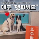 국가산단대로 파리바게트 앞 | 대구광역시 달성_ 3탄｜펫피위드 A동 내돈내산 후기｜실내수영장+올데이룸