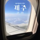 제주가 | 불향 한입에 제주가 달라진다. 동문시장 텍사스 버거 후기