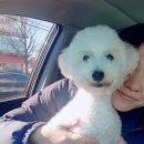 청운동물병원 이미지