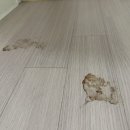 중흥세탁 | 광교중흥S클래스 이사청소 후기 지인클린입니다. 수원 입주청소 추천 지인클린!
