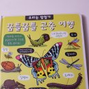 [유아 서평] 꿈틀꿈틀 곤충 여행 by 애플트리태일즈