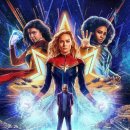 (주)마블스 이미지