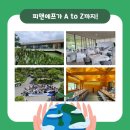 대한피앤에프