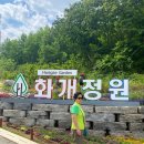 서울근교 교동도가볼만한곳 화개정원, 강화도 갈만한곳 교동도맛집 대룡시장.