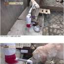 호야농장 이미지