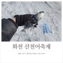 화천 산천어축제에서 즐기고 온 회와 구이, 숙소 예약부터 가격 낚시 방법