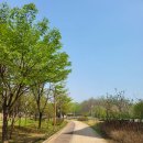 한양부동산중개 | [부동산과역사] 조선시대에도 전세가 있었을까? 역사로 보는 임대차제도와 한양의 주택난