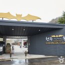 동해웰빙레포츠타운 이미지